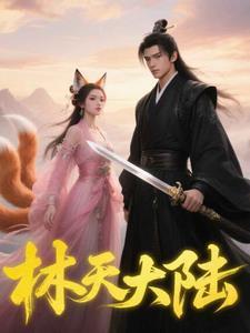 主角林天的