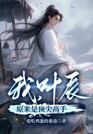 叶辰主人公