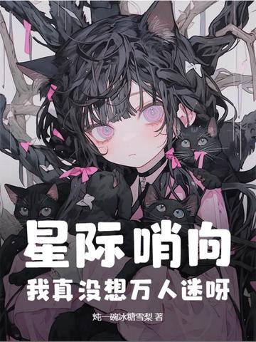 星际哨兵向导的