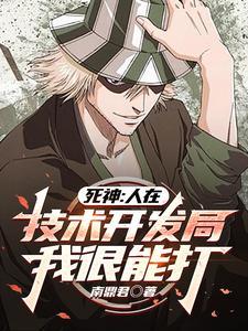 死神主角斩魄刀