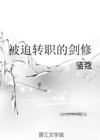 被迫转职的剑修修