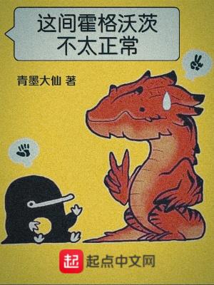 霍格沃兹之
