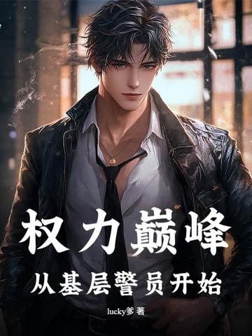 权力巅峰(从警员做起)