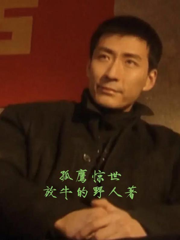 孤鹰 电影