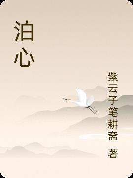泊心台咨询