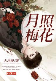 月照花林皆似霰含义