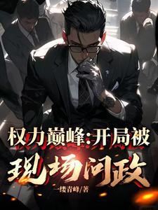 副县长的晋升之路