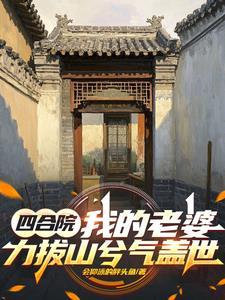 我的农村四合院