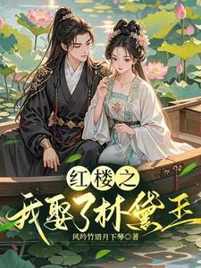 红楼之我娶黛玉