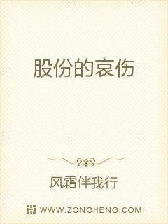 股份含义