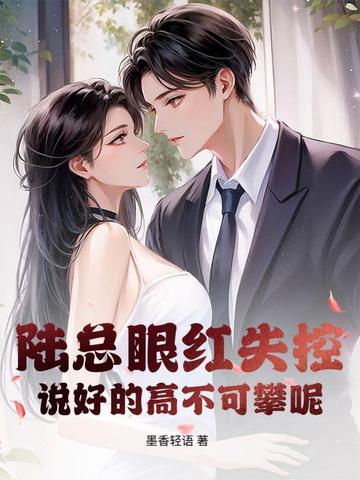 陆总是哪部电视剧