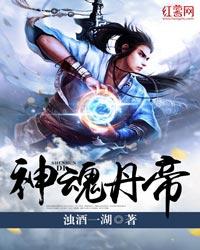 神魂丹帝TXT免费