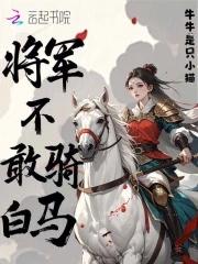 将军不下马锁