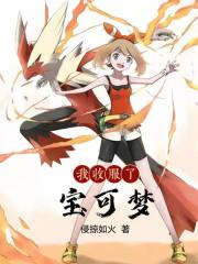 我收服了神奇宝贝