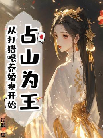 占山为王 土匪攻