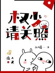 权少请关照txt全文